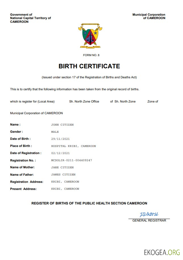 Modèle Word et PDF d'acte de naissance d'acte d'état civil du Cameroun